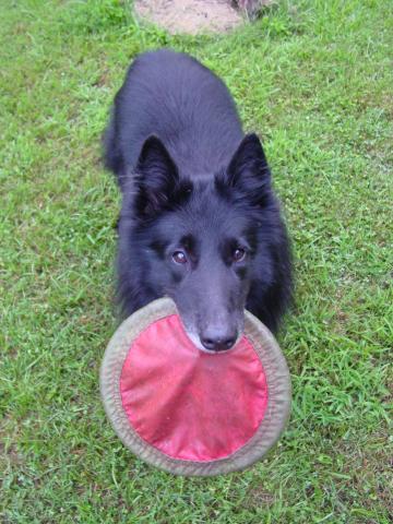 Magic with Frisbee